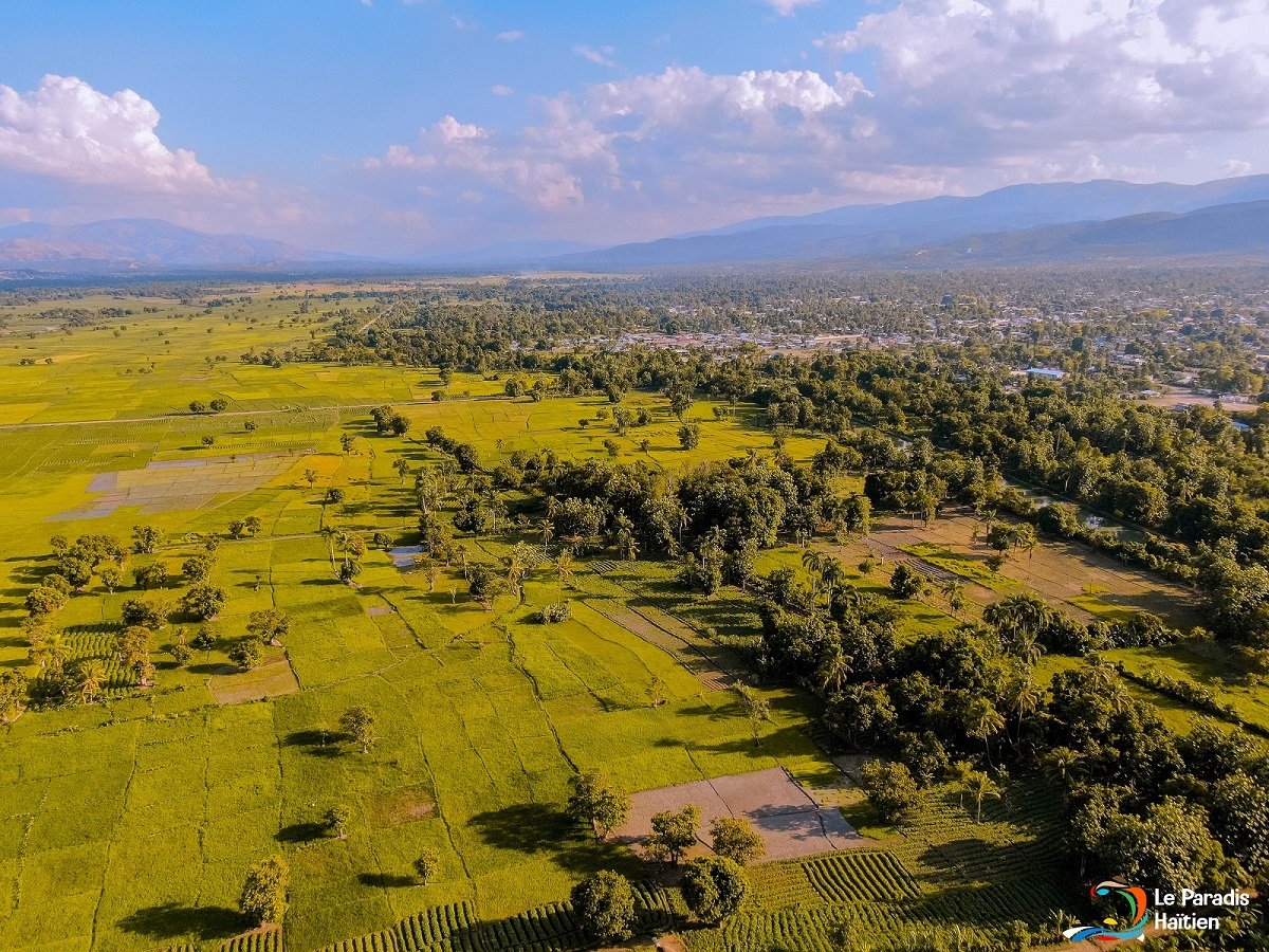 L’avenir de l’agriculture en Haïti L’avenir de l’agriculture en Haïti
