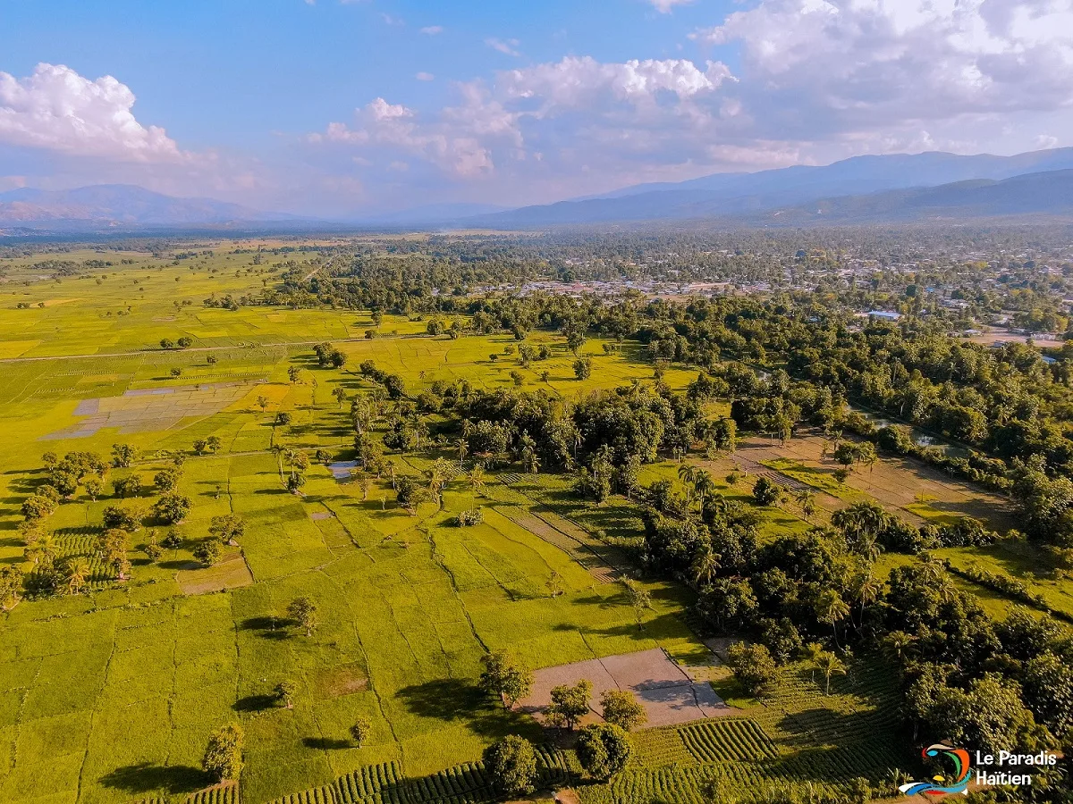 O futuro da agricultura em Haiti