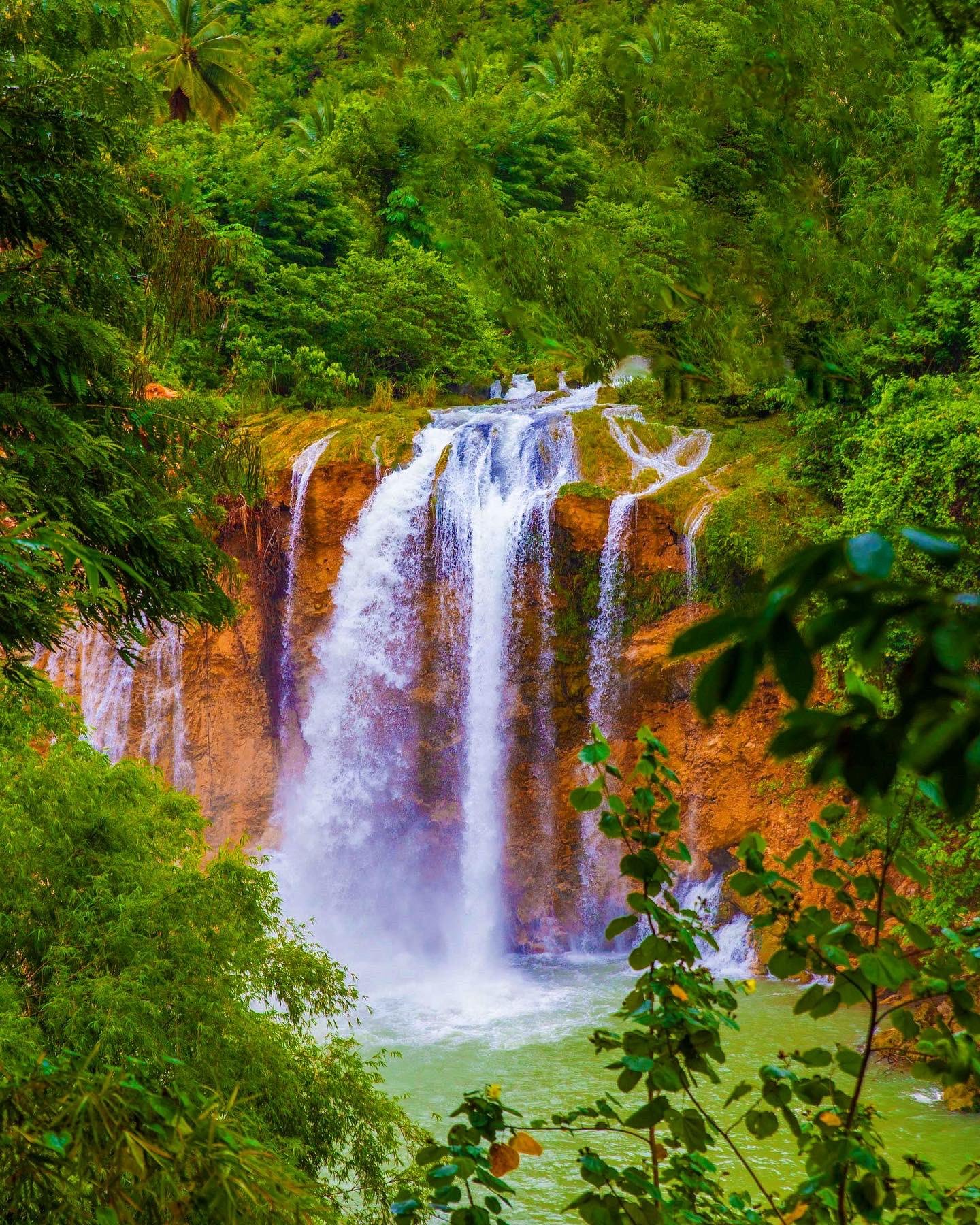 Haïti : Flore et Faune Haïti : Flore et Faune